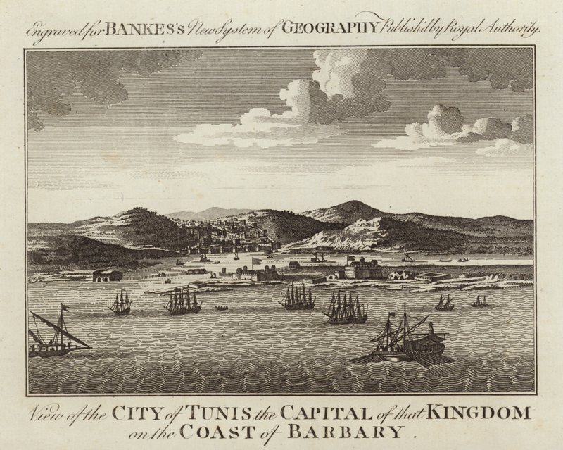 Ansicht der Stadt Tunis von English School