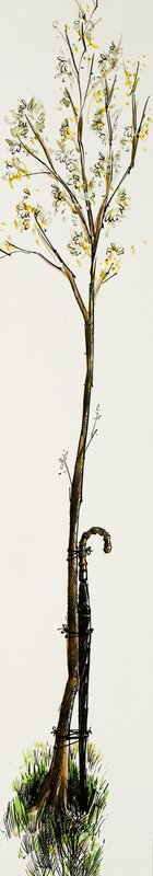 Spazierstock mit Baum von English School