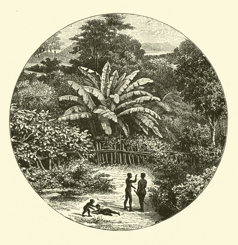 Westafrika von English School