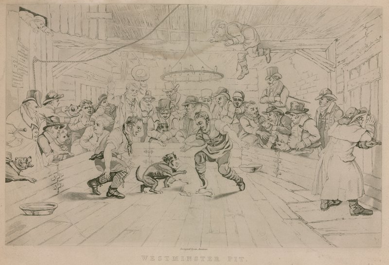 Westminster Pit von English School