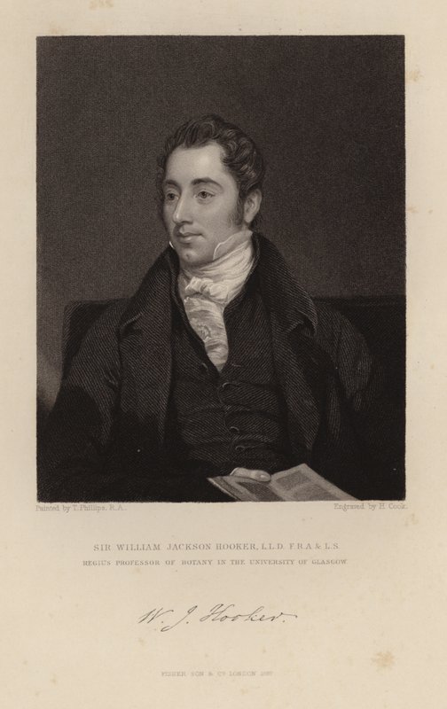 William Jackson Hooker von English School