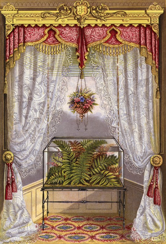 Fensterdekoration von English School