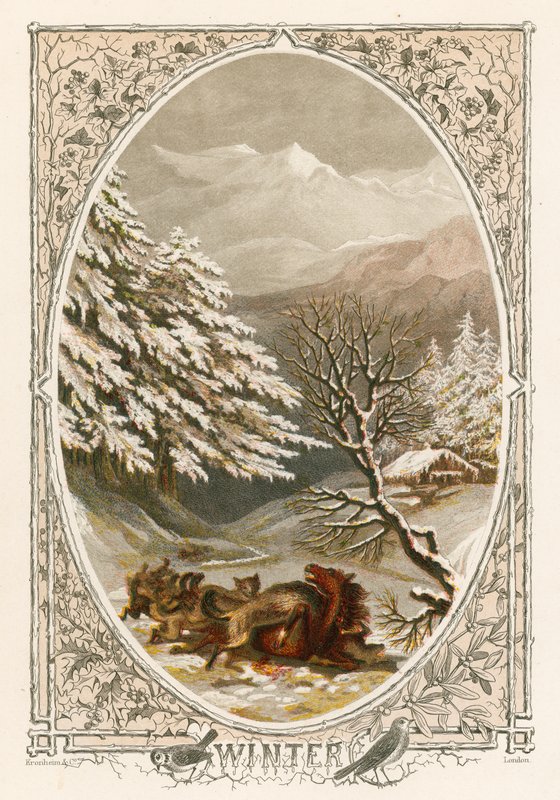 Winter von English School