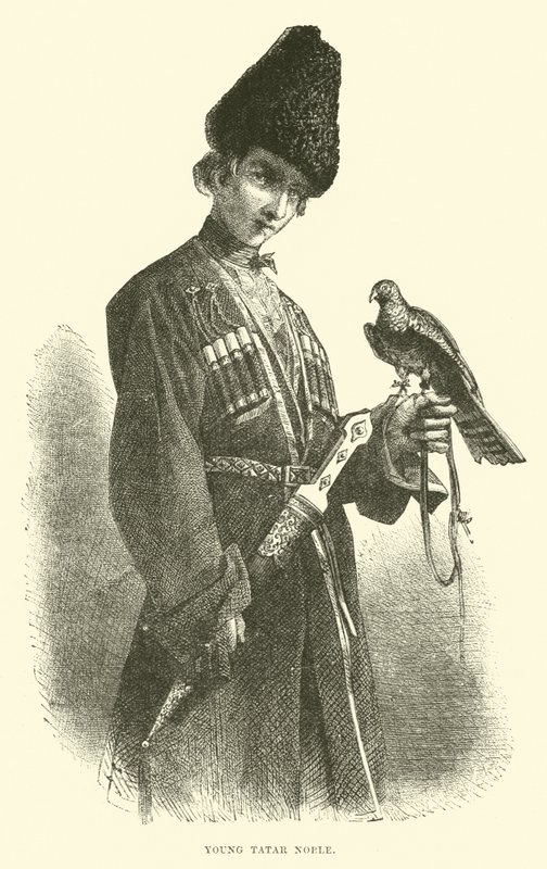 Junger tatarischer Adliger von English School