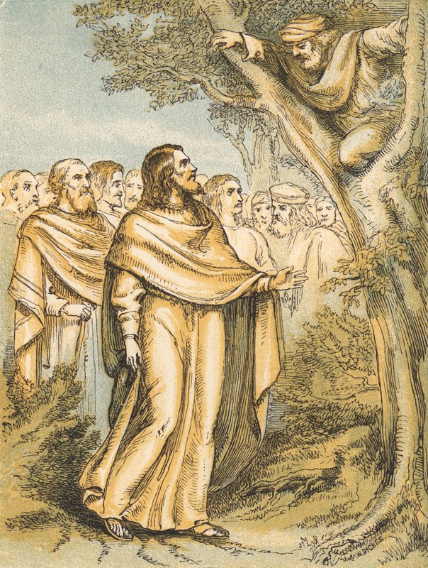 Zachäus von English School