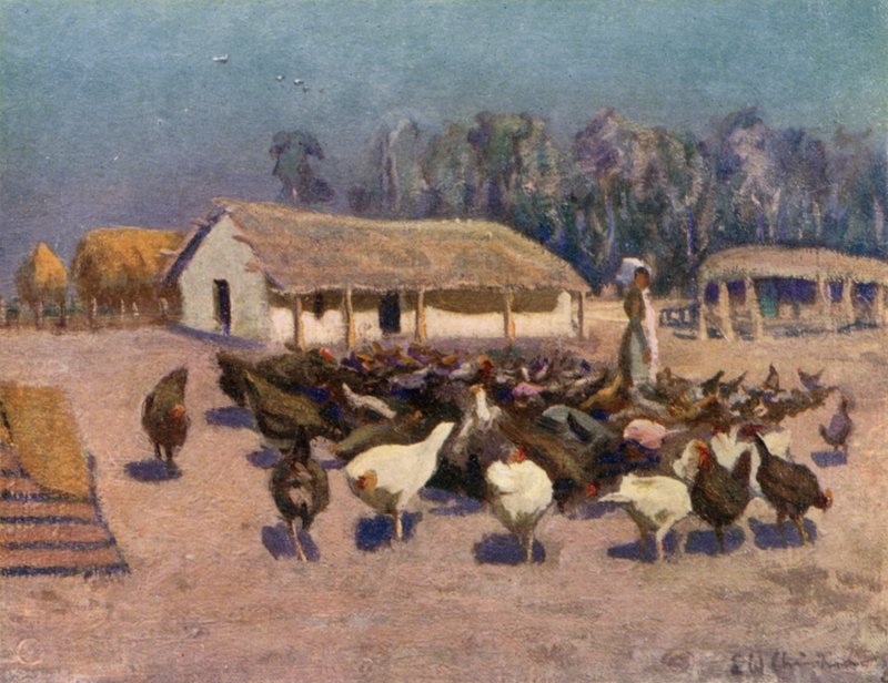 Ein Sommertag auf einer Hühnerfarm von Ernest William Christmas