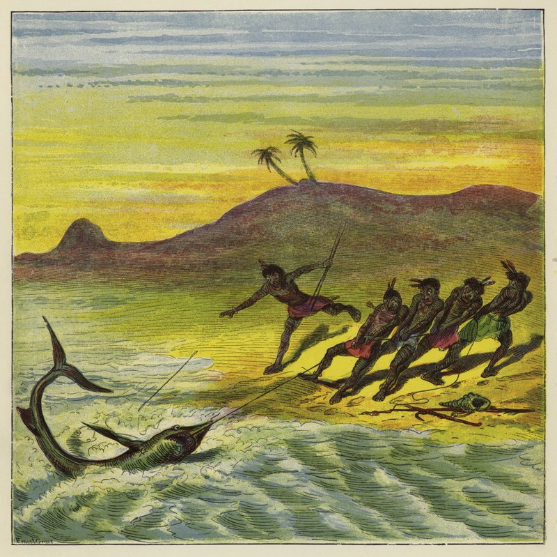 Einen Hai fangen von Ernest Henry Griset
