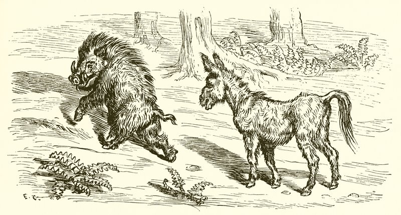 Der Eber und der Esel von Ernest Henry Griset