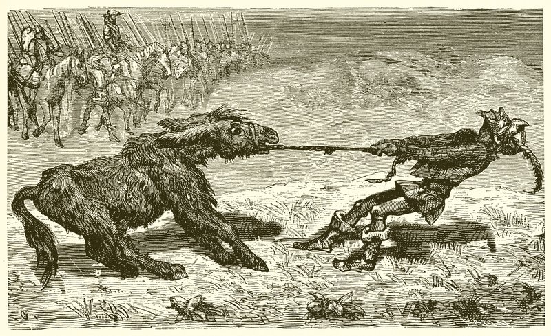 Der empfindsame Esel von Ernest Henry Griset