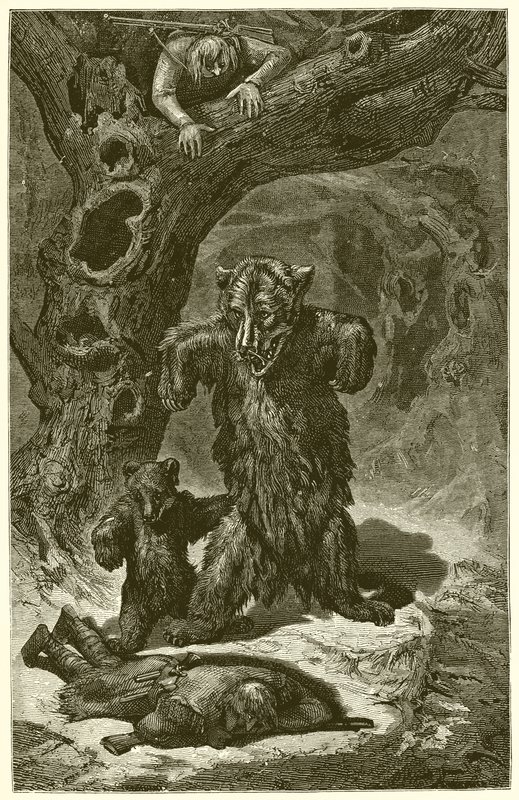Die Reisenden und der Bär von Ernest Henry Griset