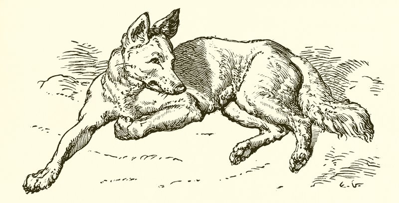 Der Wolf im Schafspelz von Ernest Henry Griset