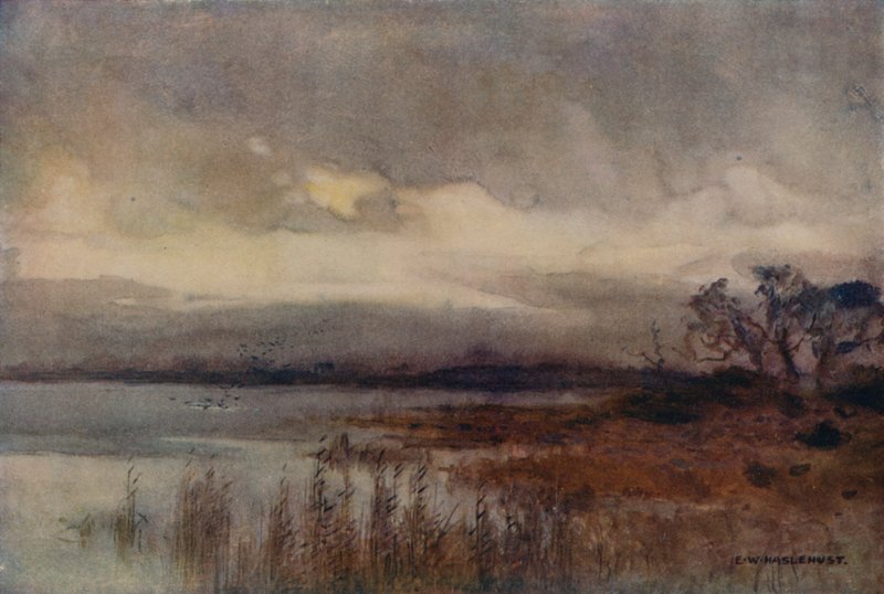 Hickling Broad von Ernest William Haslehust
