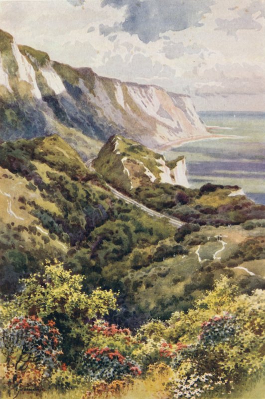 The Warren, Folkestone von Ernest William Haslehust