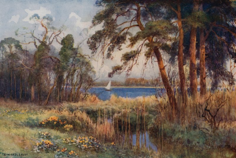 Wroxham Broad, Frühling von Ernest William Haslehust