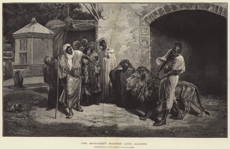 Der Marabout-Heilige Löwe, Algier von Eugene Pavy