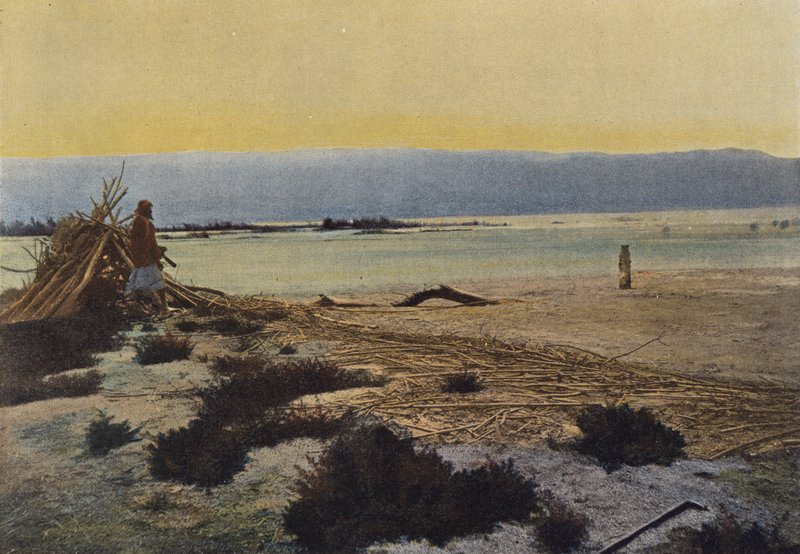 Das Tote Meer an der Mündung des Jordan von European Photographer
