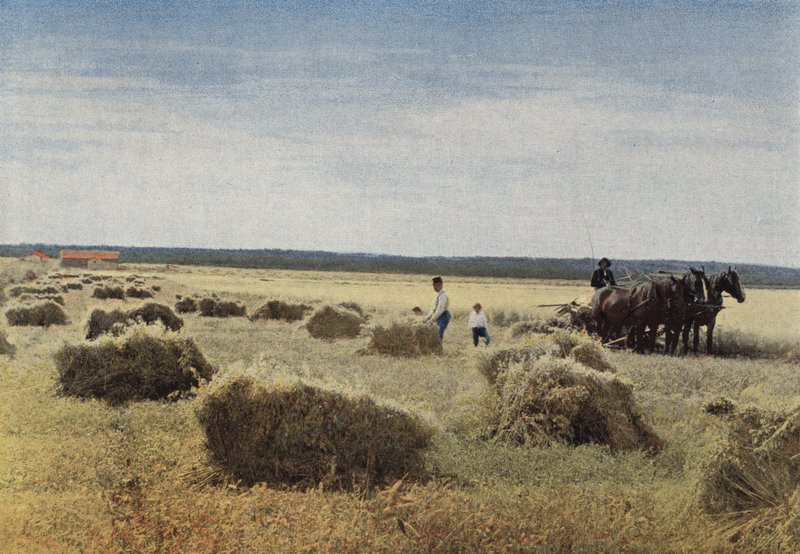 Die Ernte in Manitoba von European Photographer