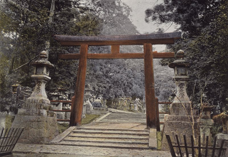 Torii eines Shinto-Tempels von European Photographer