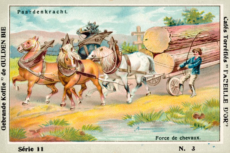 Pferdestärke von European School