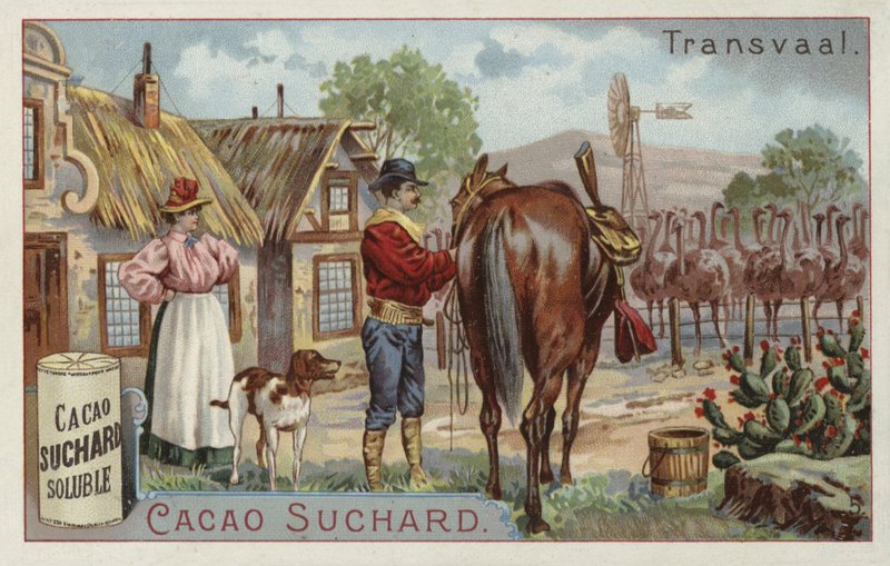 Straußenfarm, Transvaal von European School