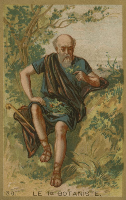 Der erste Botaniker von European School