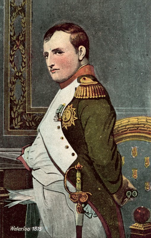 Waterloo 1815, Napoleon von European School