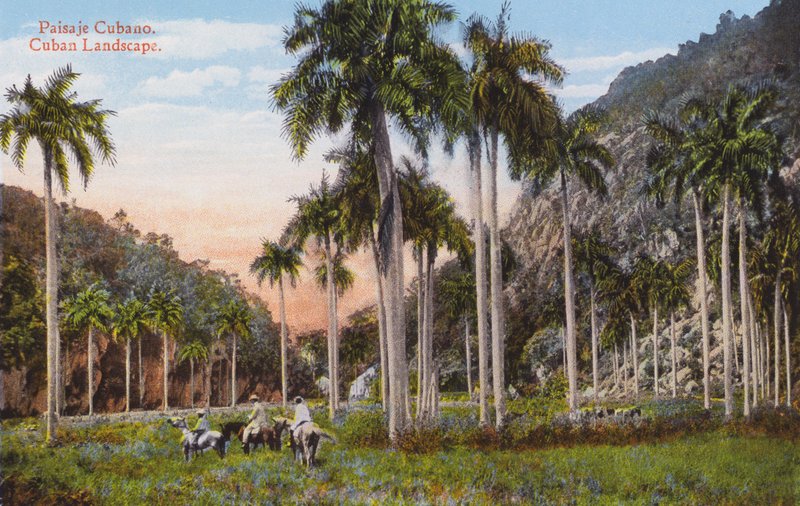 Havanna, Kuba: Kubanische Landschaft von European Photographer