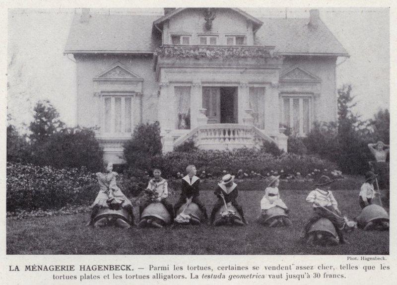 Der Hagenbeck-Zoo von European Photographer