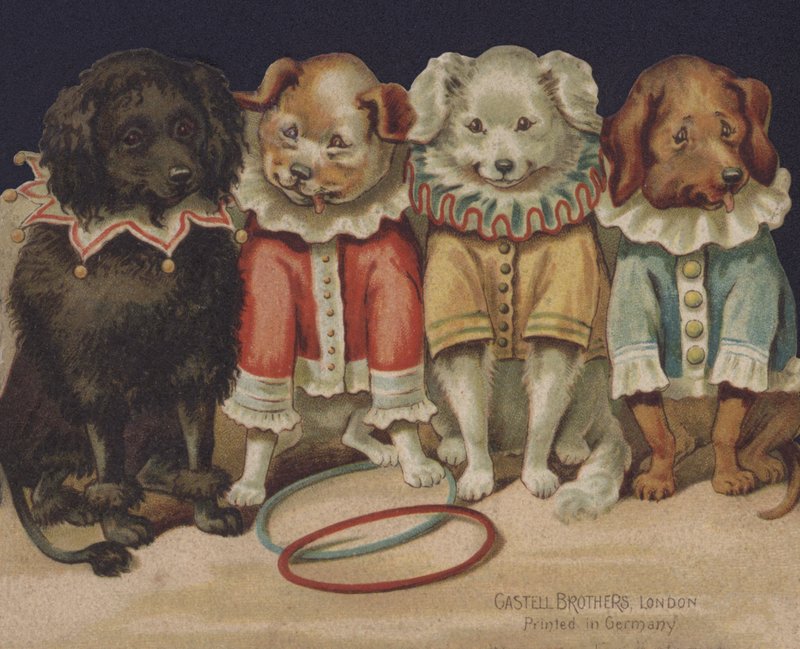 Komische Hunde von European School