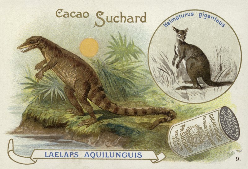 Dryptosaurus und Känguru von European School