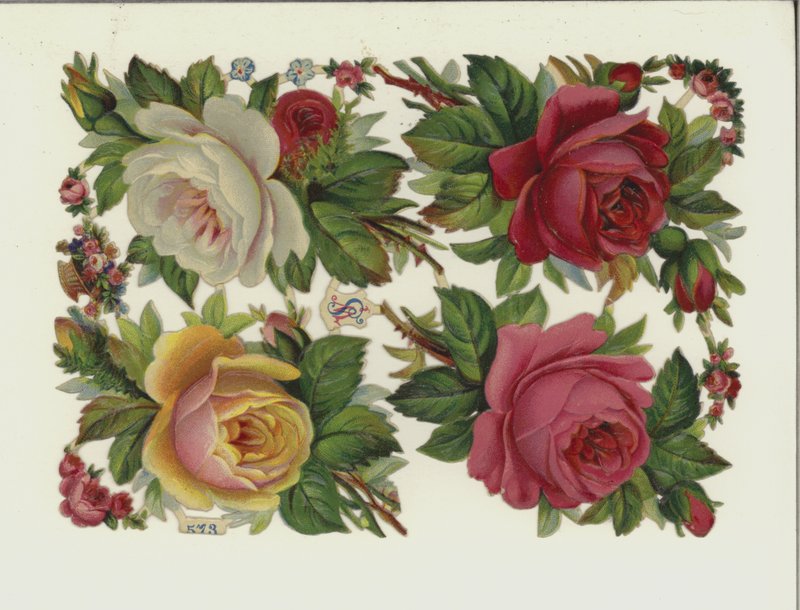 Blumen von European School