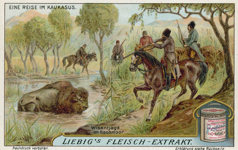 Bisonjagd im Sumpf von European School