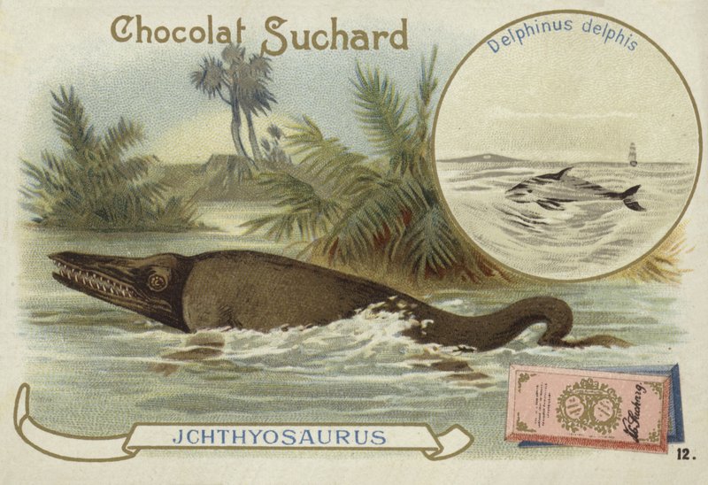 Ichthyosaurier und Gemeiner Delfin von European School