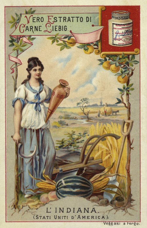 Indiana von European School