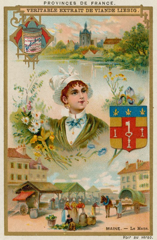 Le Maine von European School