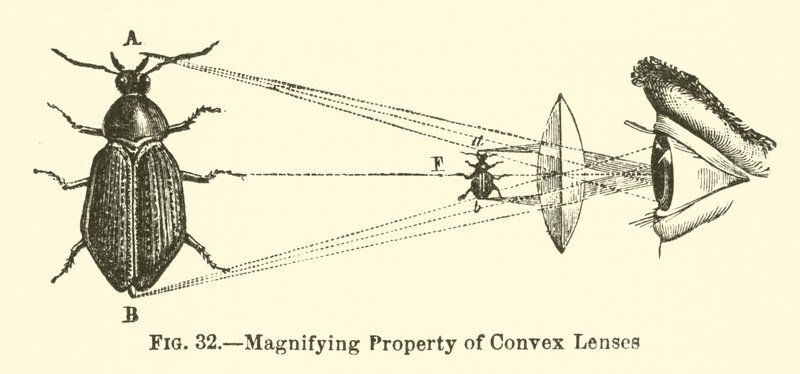 Vergrößerungseigenschaft von konvexen Linsen von European School