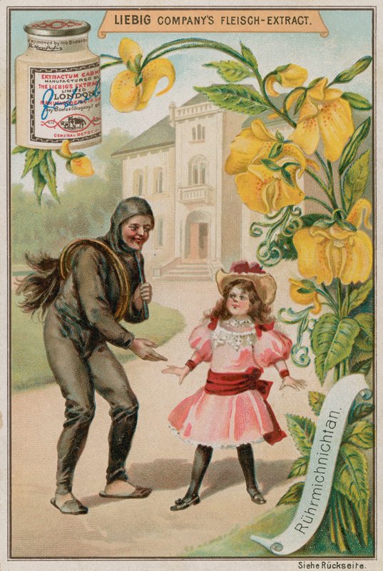 Mimose von European School