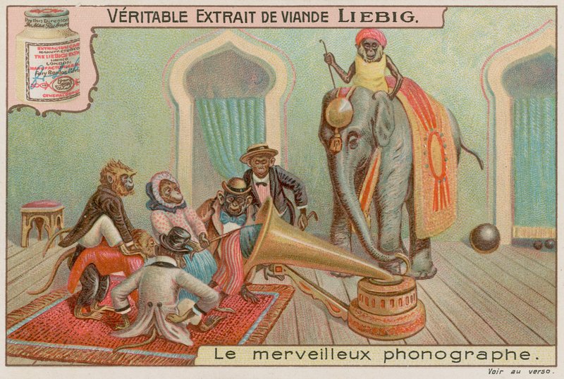 Affen und ein Grammophon von European School