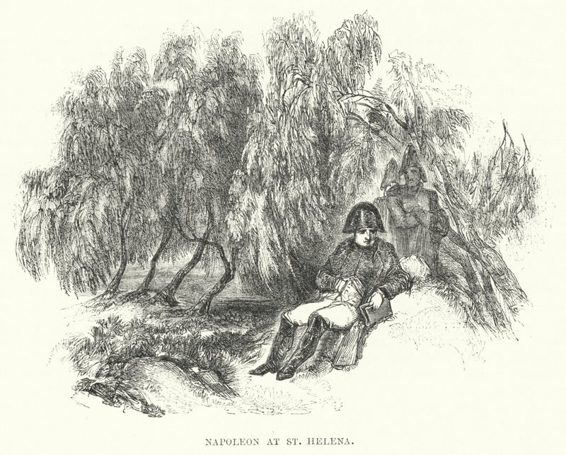 Napoleon auf St. Helena von European School