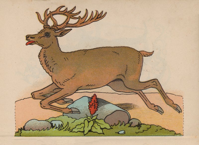 Seite aus dem magischen Buch (Farblitho) von European School