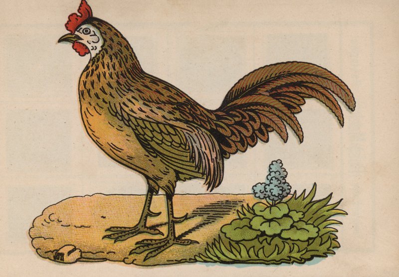 Seite aus dem magischen Buch von European School