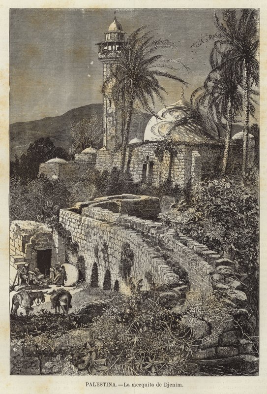 Palästina, Die Moschee von Djenim von European School
