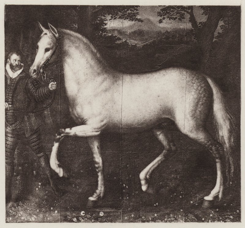 Das Pferd von Königin Elizabeth von European School