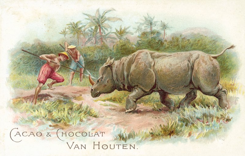 Nashorn unter Angriff von European School