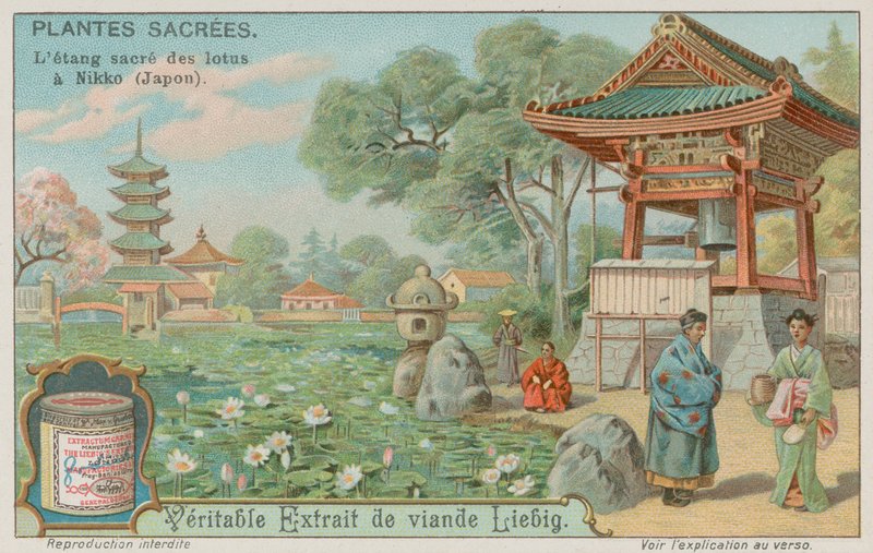 Heiliger Lotusblumenteich in Nikko, Japan von European School