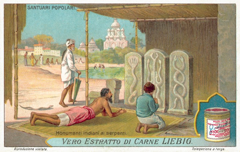 Schlangenmonumente in Indien von European School