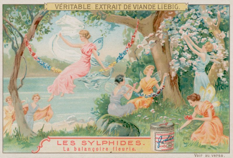Sylphen und eine Blumenschaukel von European School