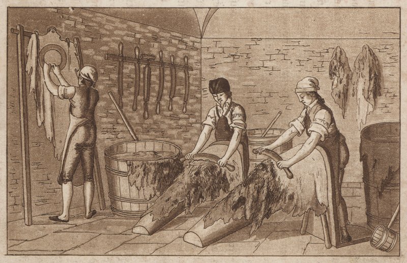 Gerberei (Lithografie) von European School
