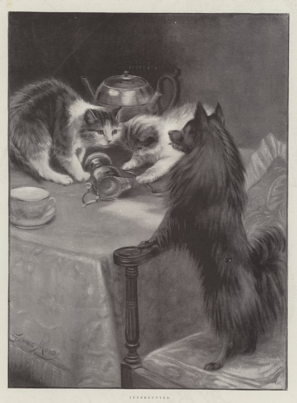 Unterbrochen von Fannie Moody