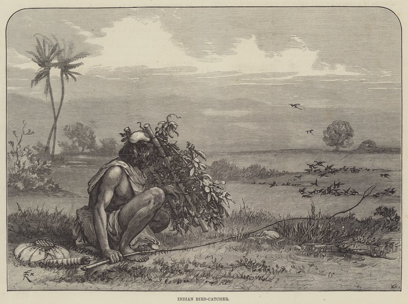 Indischer Vogelfänger von Felix Regamey